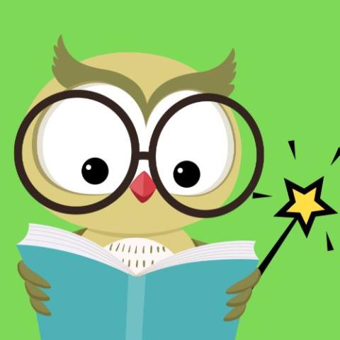 Owl holding a magic wand and reading a book