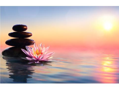 stacked rocks and a lotus flower in a sunset