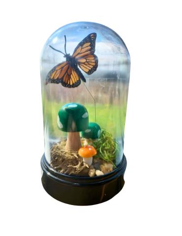 A terrarium with mushrooms and butterflies