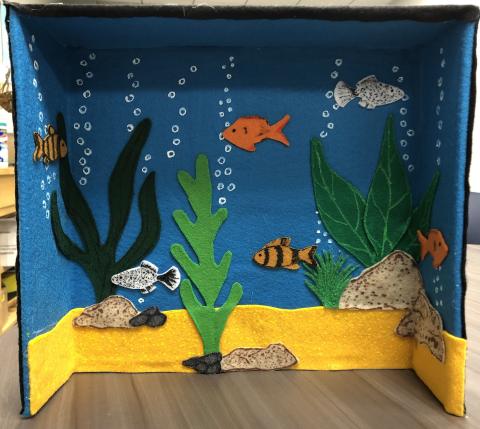 Aquarium made out of cardboard
