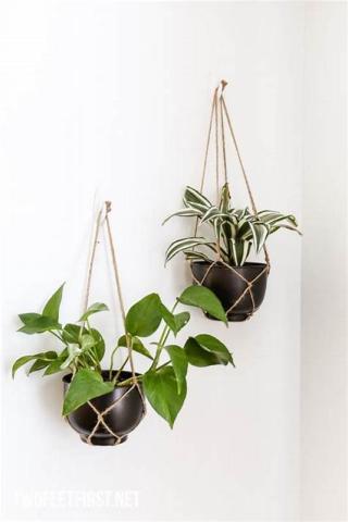 Image of Simple Macrame Planters hanging with plants inside.