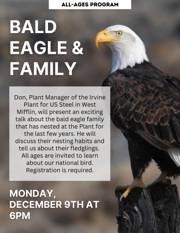 Bald Eagle and Family flyer