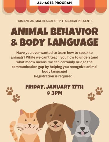 animal behavior and body language flyer