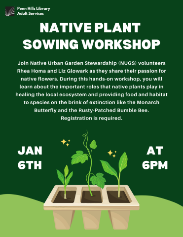 native plant sowing workshop flyer