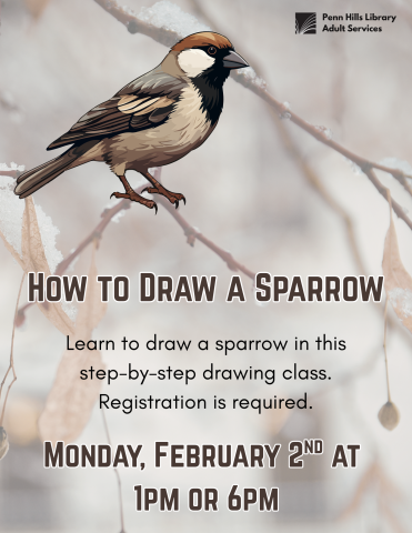 How to Draw a Sparrow flyer