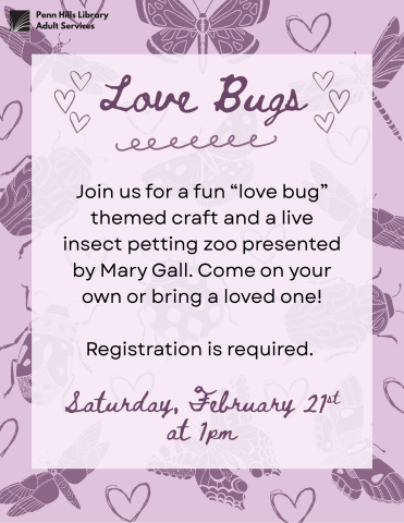 Love Bugs flyer