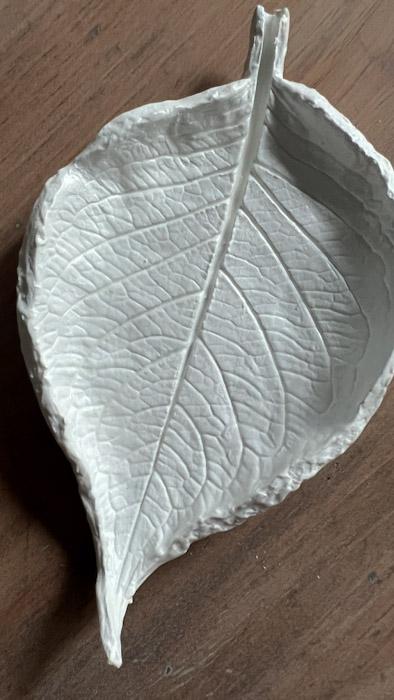 Image of Clay leaf 