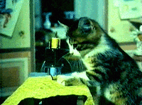 Cat using a sewing machine