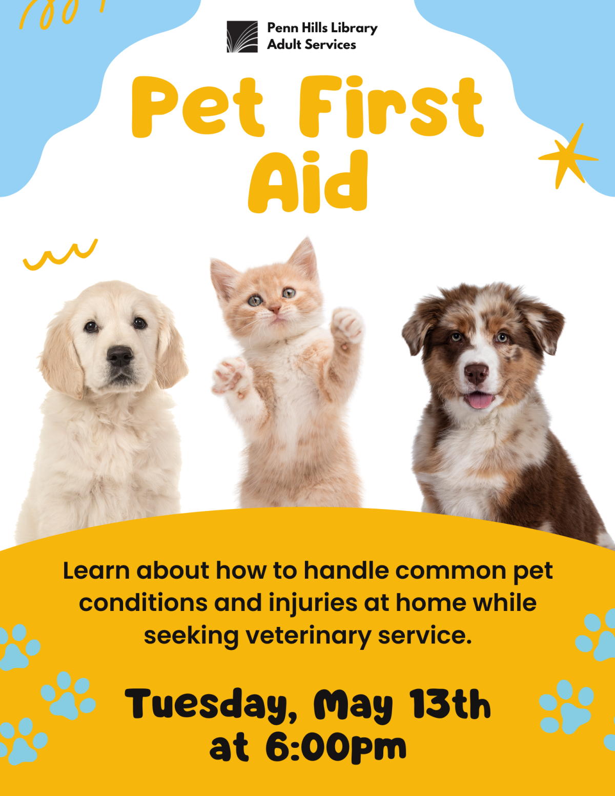 Pet First Aid flyer