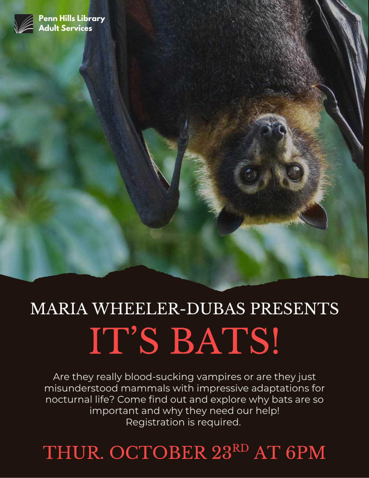 It's Bats! flyer
