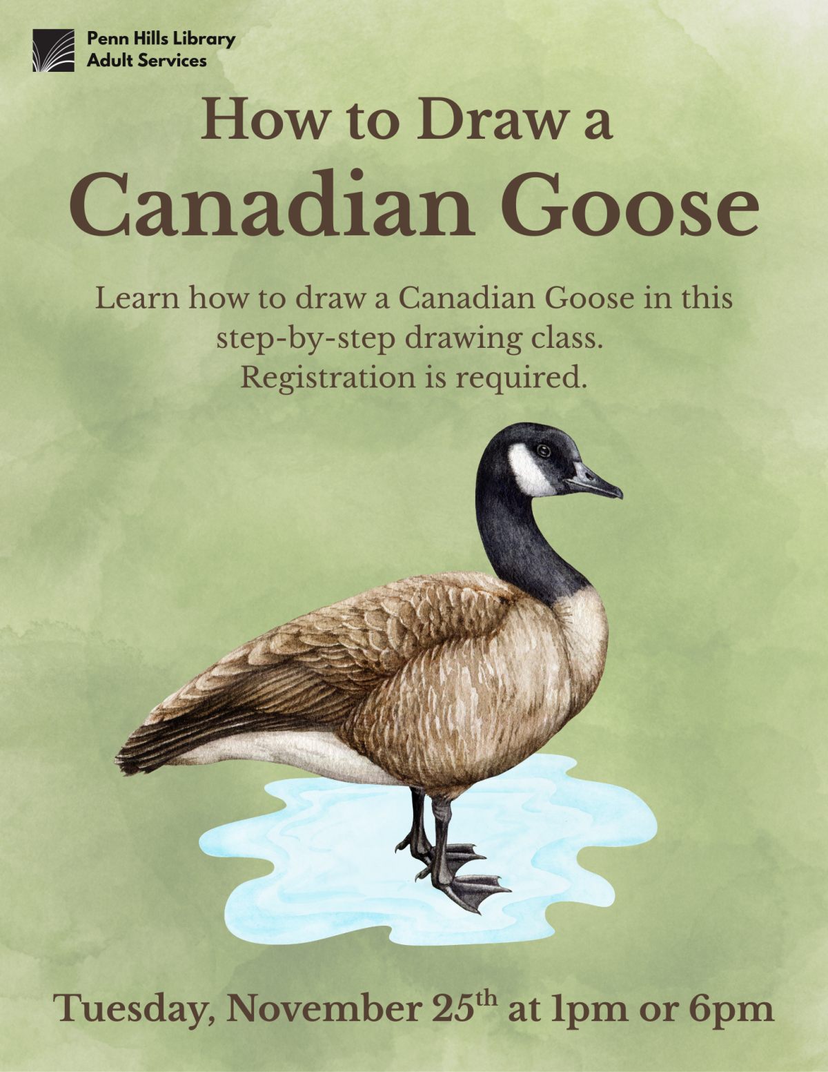 How to Draw a Canadian Goose flyer
